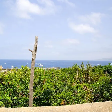 Lemon Grove Daire Marina Grande (Capri)