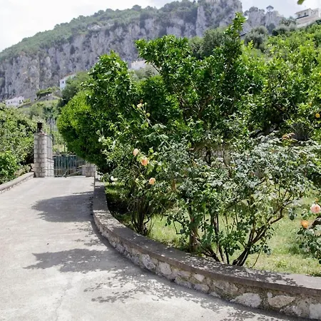 Lemon Grove, Capri Apartment